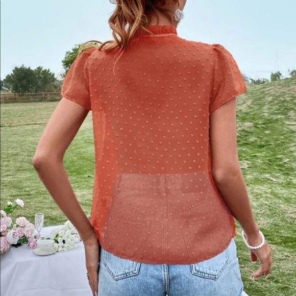 Boho redwood Swiss dot tie neck puff sleeve blouse - Picture 5 of 15